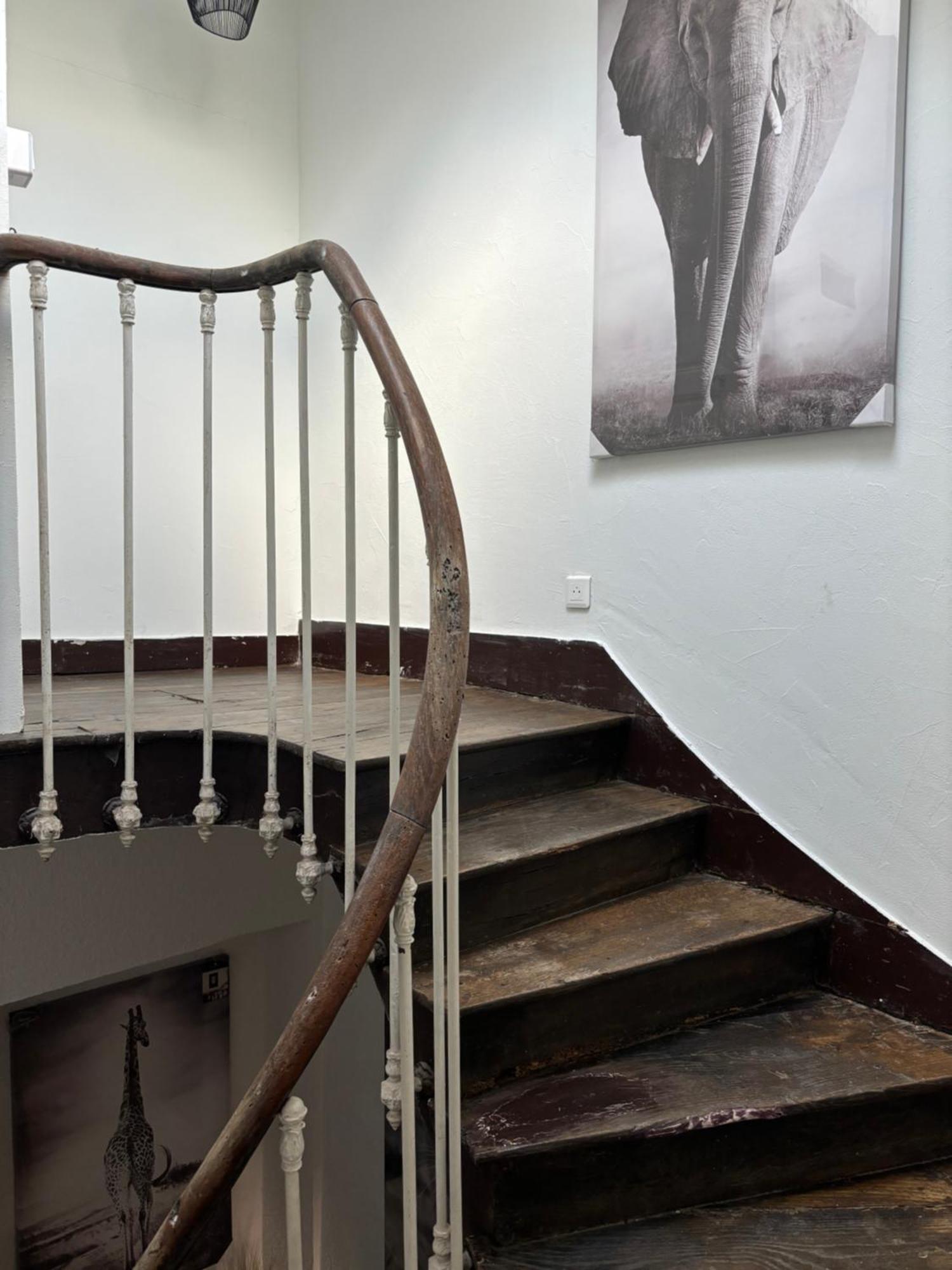 Le Duplex Safari Appartement Saint-Aignan  Buitenkant foto