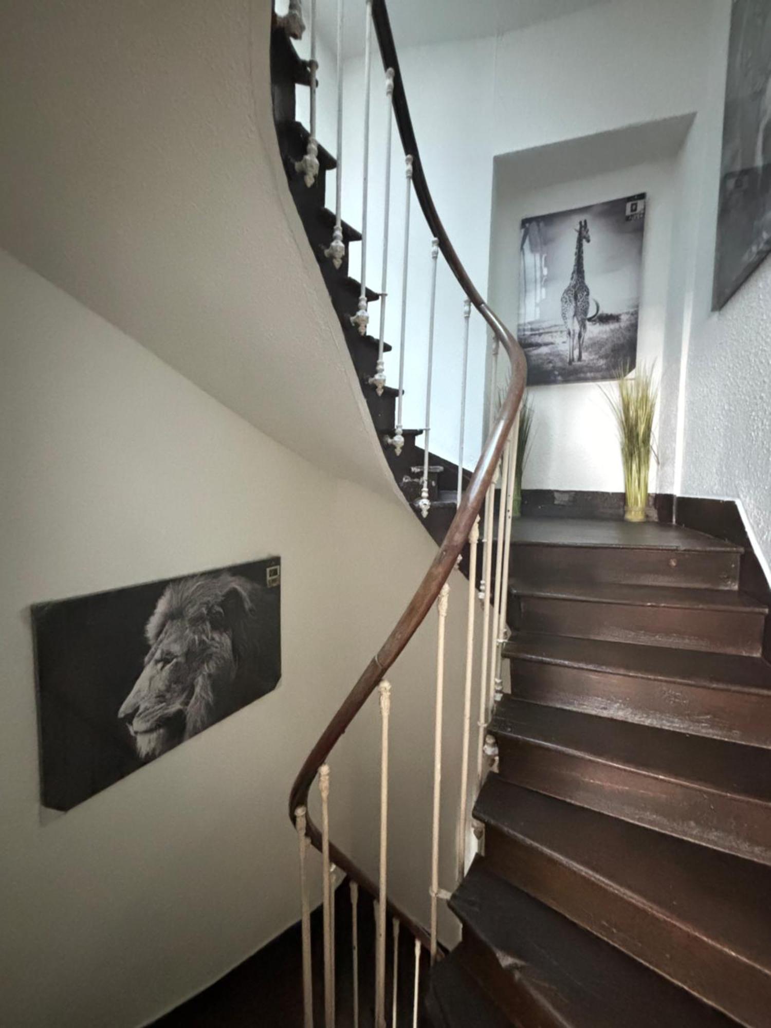 Le Duplex Safari Appartement Saint-Aignan  Buitenkant foto